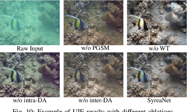 Figure 2 for SyreaNet: A Physically Guided Underwater Image Enhancement Framework Integrating Synthetic and Real Images