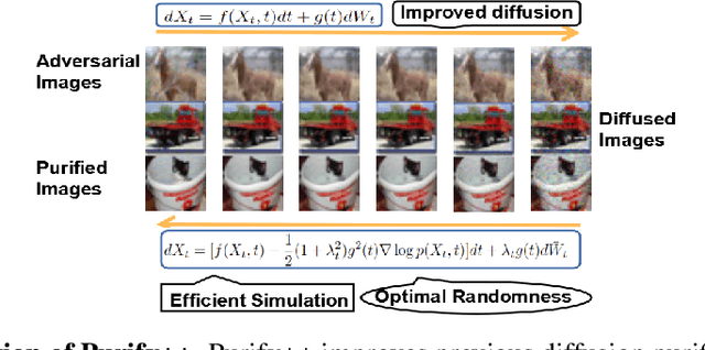 Figure 1 for Purify++: Improving Diffusion-Purification with Advanced Diffusion Models and Control of Randomness
