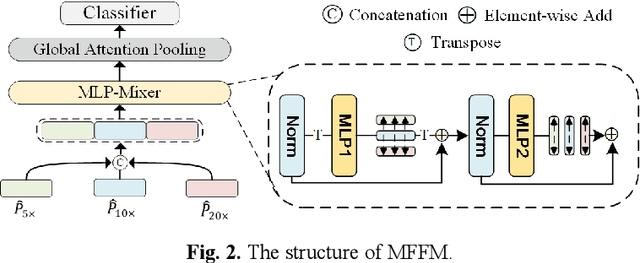 Figure 3 for Multi-Scale Prototypical Transformer for Whole Slide Image Classification