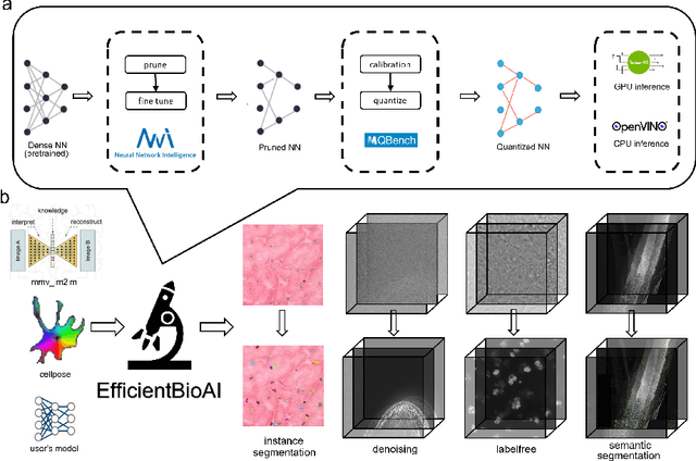 Figure 1 for EfficientBioAI: Making Bioimaging AI Models Efficient in Energy, Latency and Representation