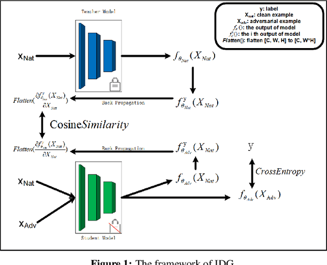 Figure 1 for Releasing Inequality Phenomena in $L_{\infty}$-Adversarial Training via Input Gradient Distillation
