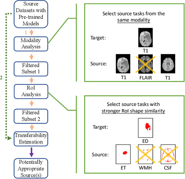 Figure 1 for Finding the Most Transferable Tasks for Brain Image Segmentation