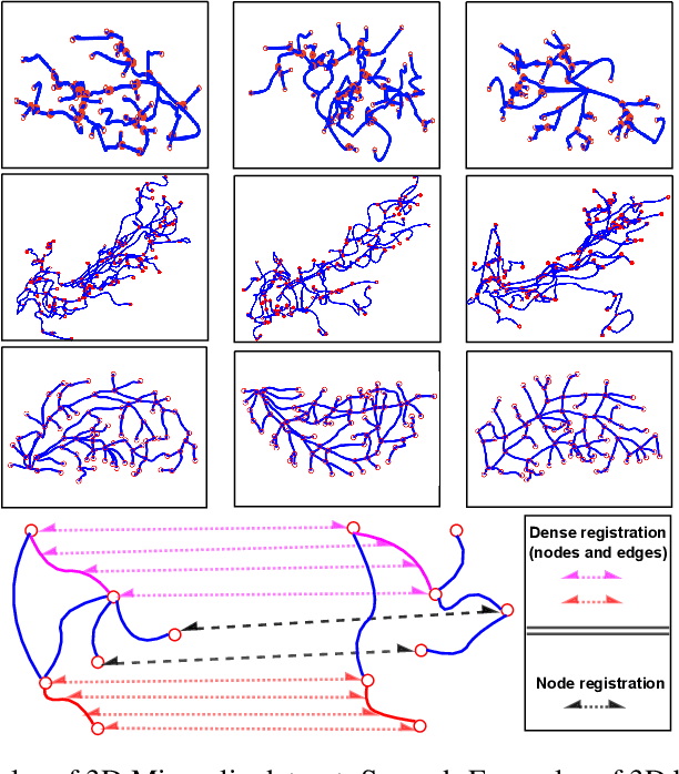 Figure 1 for Shape-Graph Matching Network (SGM-net): Registration for Statistical Shape Analysis