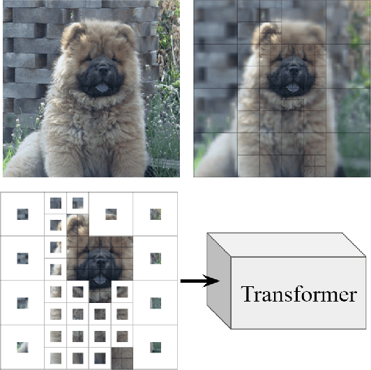 Figure 1 for Vision Transformers with Mixed-Resolution Tokenization