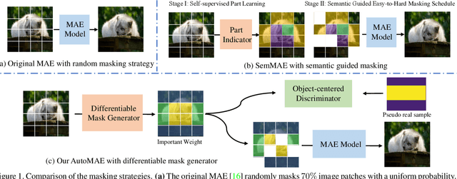 Figure 1 for Improving Masked Autoencoders by Learning Where to Mask