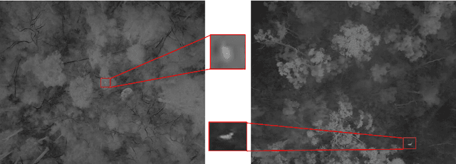 Figure 2 for An empirical study of automatic wildlife detection using drone thermal imaging and object detection