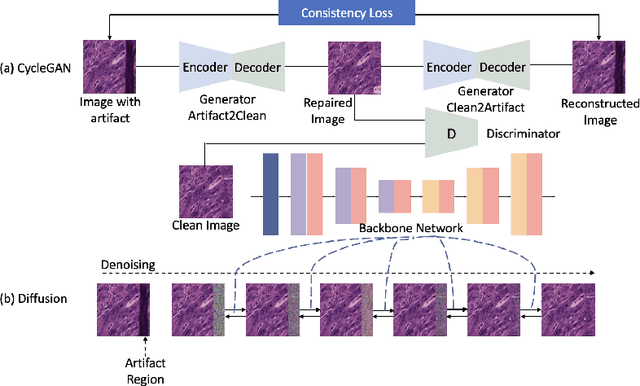 Figure 1 for Artifact Restoration in Histology Images with Diffusion Probabilistic Models
