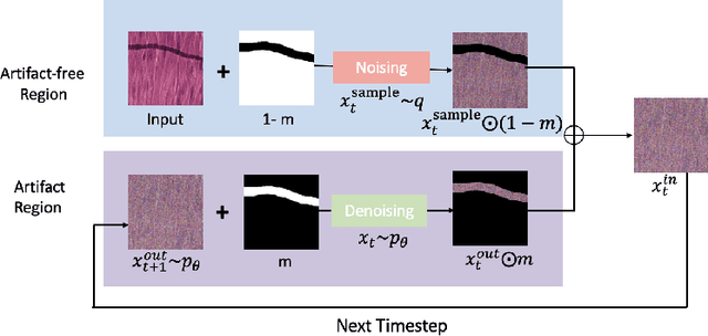 Figure 3 for Artifact Restoration in Histology Images with Diffusion Probabilistic Models