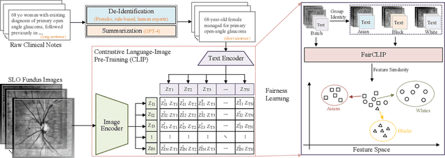 Figure 3 for FairCLIP: Harnessing Fairness in Vision-Language Learning