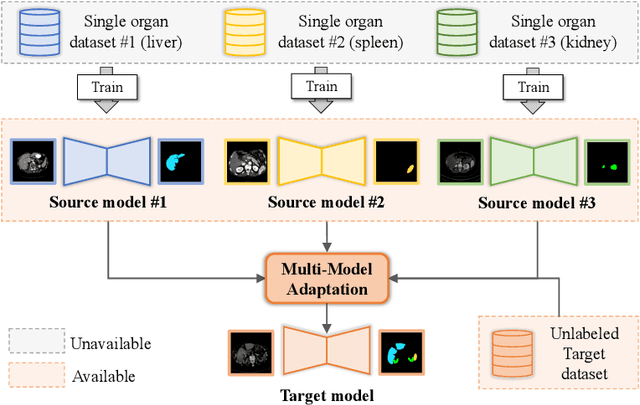 Figure 1 for Tailored Multi-Organ Segmentation with Model Adaptation and Ensemble