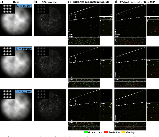 Figure 2 for Robust single-shot 3D fluorescence imaging in scattering media with a simulator-trained neural network