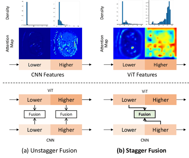 Figure 1 for Rethinking Information Loss in Medical Image Segmentation with Various-sized Targets