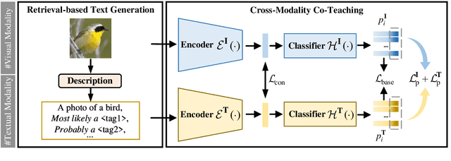 Figure 3 for Textual Knowledge Matters: Cross-Modality Co-Teaching for Generalized Visual Class Discovery
