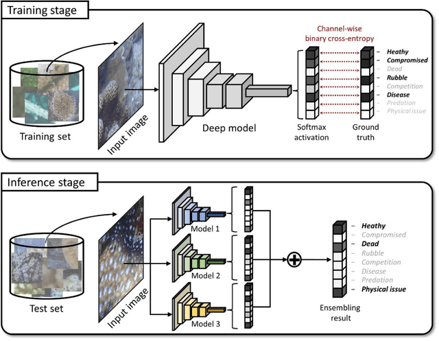 Figure 4 for Deep learning for multi-label classification of coral conditions in the Indo-Pacific via underwater photogrammetry