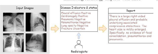 Figure 1 for IIHT: Medical Report Generation with Image-to-Indicator Hierarchical Transformer
