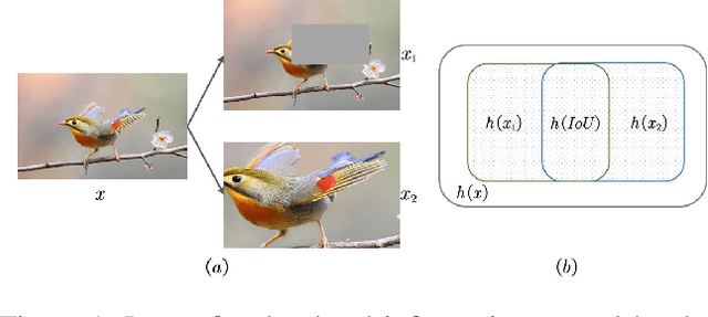 Figure 1 for Self-Supervised Representation Learning with Meta Comprehensive Regularization