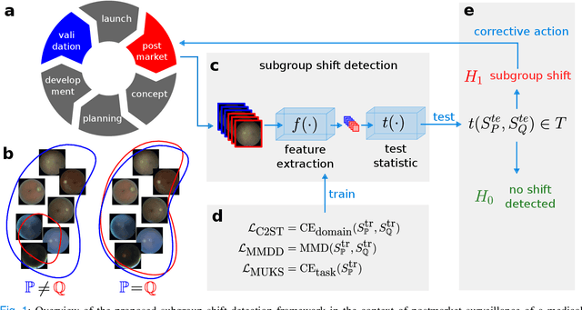 Figure 1 for Deep Hypothesis Tests Detect Clinically Relevant Subgroup Shifts in Medical Images