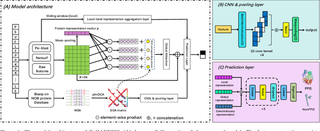 Figure 2 for CoGANPPIS: Coevolution-enhanced Global Attention Neural Network for Protein-Protein Interaction Site Prediction