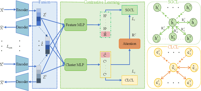 Figure 1 for Deep Contrastive Multi-view Clustering under Semantic Feature Guidance