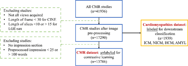 Figure 4 for Multimodal Representation Learning of Cardiovascular Magnetic Resonance Imaging