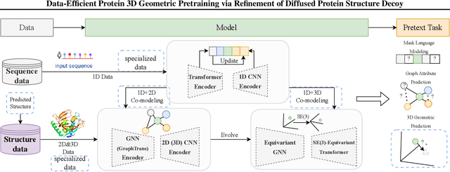 Figure 1 for Data-Efficient Protein 3D Geometric Pretraining via Refinement of Diffused Protein Structure Decoy