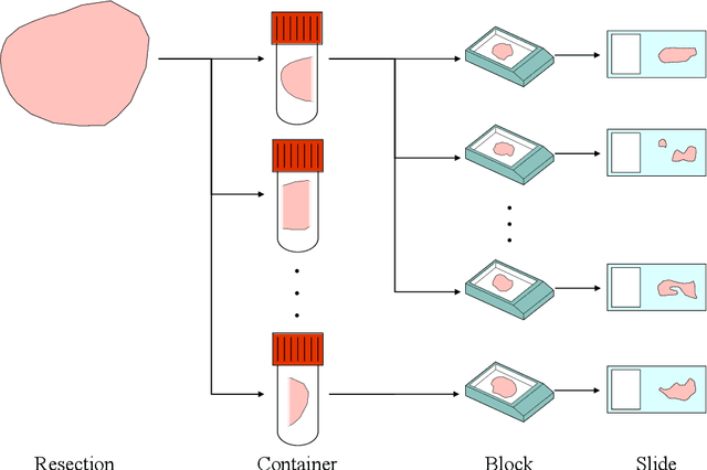 Figure 3 for Re-identification from histopathology images