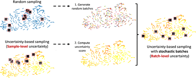 Figure 3 for Active learning for medical image segmentation with stochastic batches