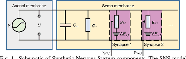Figure 1 for A Bioinspired Synthetic Nervous System Controller for Pick-and-Place Manipulation