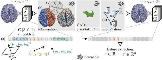Figure 1 for LaB-GATr: geometric algebra transformers for large biomedical surface and volume meshes