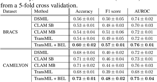 Figure 2 for BEL: A Bag Embedding Loss for Transformer enhances Multiple Instance Whole Slide Image Classification
