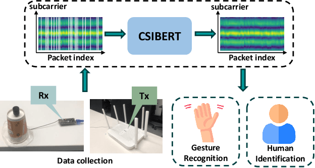 Figure 1 for Finding the Missing Data: A BERT-inspired Approach Against Package Loss in Wireless Sensing