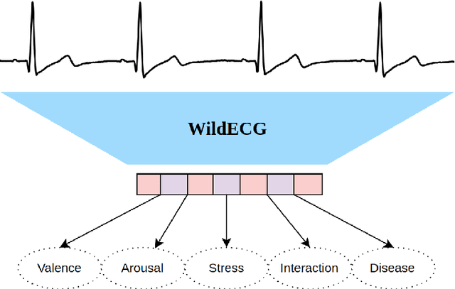 Figure 1 for Scaling Representation Learning from Ubiquitous ECG with State-Space Models