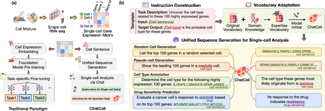 Figure 3 for ChatCell: Facilitating Single-Cell Analysis with Natural Language