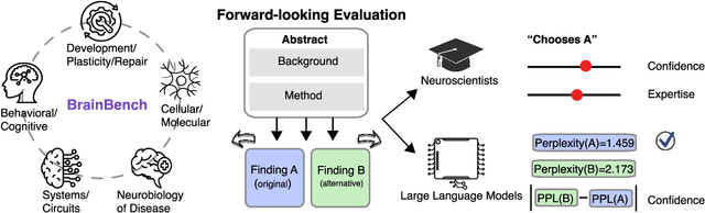 Figure 2 for Large language models surpass human experts in predicting neuroscience results