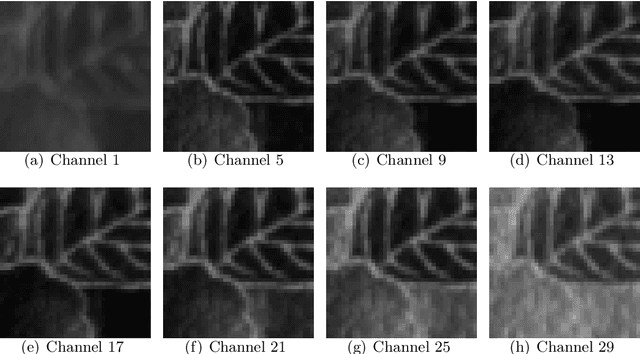 Figure 4 for Multispectral Image Restoration by Generalized Opponent Transformation Total Variation