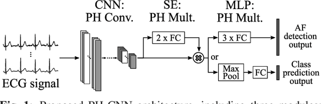 Figure 1 for Towards Efficient ECG-based Atrial Fibrillation Detection via Parameterised Hypercomplex Neural Networks