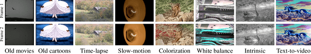 Figure 2 for Blind Video Deflickering by Neural Filtering with a Flawed Atlas