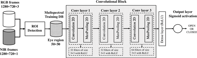 Figure 3 for mEBAL2 Database and Benchmark: Image-based Multispectral Eyeblink Detection