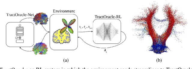 Figure 1 for TractOracle: towards an anatomically-informed reward function for RL-based tractography