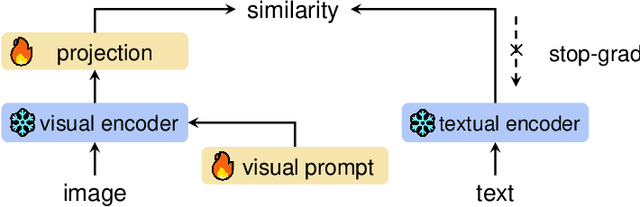Figure 1 for Text-guided Foundation Model Adaptation for Pathological Image Classification