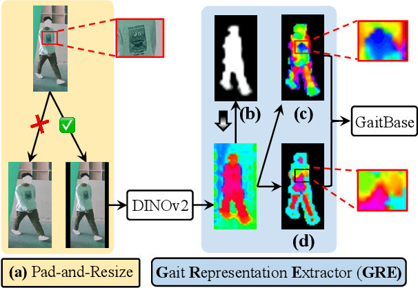 Figure 3 for BigGait: Learning Gait Representation You Want by Large Vision Models