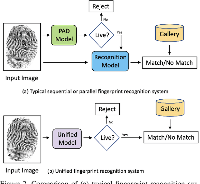 Figure 3 for ViT Unified: Joint Fingerprint Recognition and Presentation Attack Detection