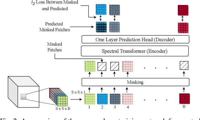 Figure 2 for FactoFormer: Factorized Hyperspectral Transformers with Self-Supervised Pre-Training