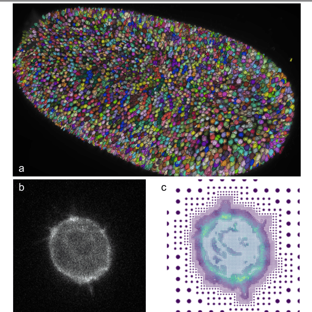 Figure 4 for Roadmap on Deep Learning for Microscopy