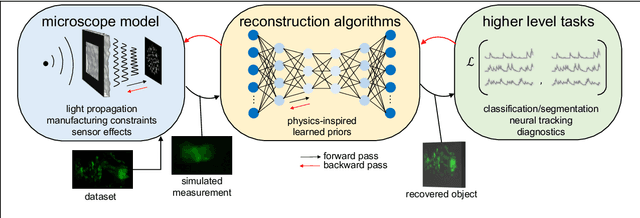 Figure 3 for Roadmap on Deep Learning for Microscopy