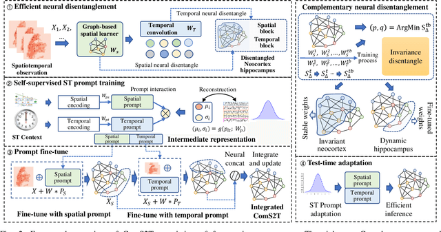 Figure 2 for ComS2T: A complementary spatiotemporal learning system for data-adaptive model evolution