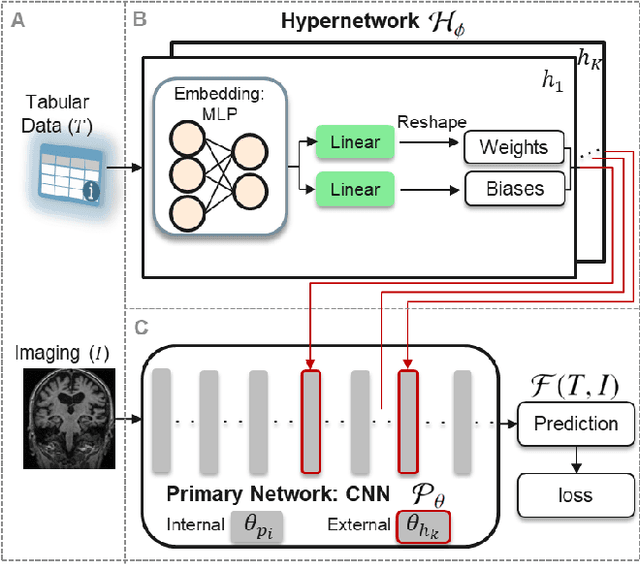 Figure 3 for HyperFusion: A Hypernetwork Approach to Multimodal Integration of Tabular and Medical Imaging Data for Predictive Modeling