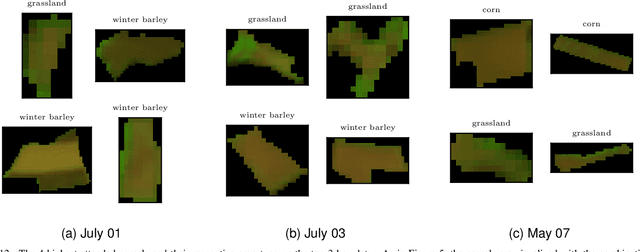 Figure 4 for Exploring Self-Attention for Crop-type Classification Explainability