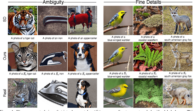 Figure 1 for Discriminative Class Tokens for Text-to-Image Diffusion Models