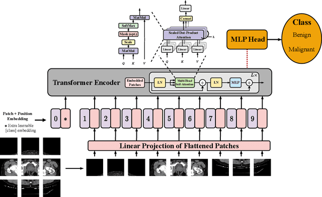 Figure 3 for Enhancing Efficiency in Vision Transformer Networks: Design Techniques and Insights